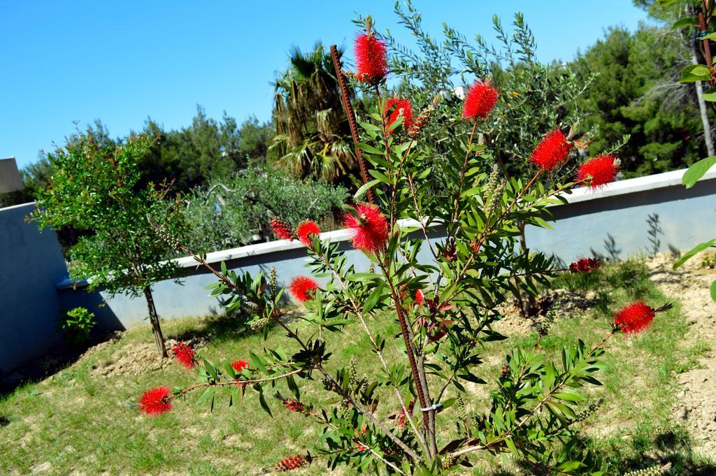 Permarinus Apartments Podstrana Dış mekan fotoğraf